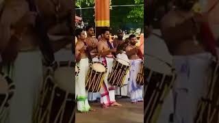 Kollam  Sree Pisharikavu Temple#navaratri#pooja#elephant#kerala#iphone#iphone15