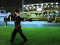 Kung Fu in Dubai - UAE Kung Fu - Wu Shu  (Master hang )