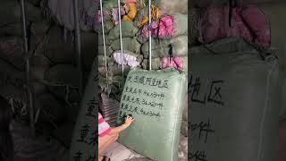 外面几十块一件的衣服，其實這裡几块就能打包帶走