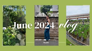 Exploring Japan's Summer Blooms ₊˚ʚ 🌱 ₊˚✧ ﾟ. June 2024 Vlog P2 🌻☀️🐝