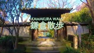 KAMAKURA WALK 鎌倉散歩　続き（2020年2月撮影）