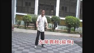 縱鶴拳 單貫肢