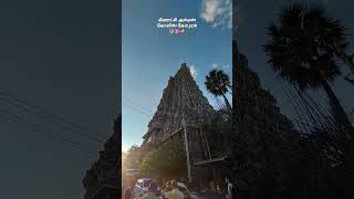 மீனாட்சி அம்மன் கோவில் கோபுரம் 🔱🪔 #tredingshorts #shorts #madurai #tamil #temple #explore #trending