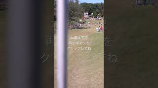 【shorts】東松山ぼたん園の牡丹 #shorts #牡丹 #東松山ぼたん園