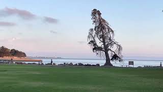 Crab Cove Center, Alameda Beautiful Sunset View 🌻🌻