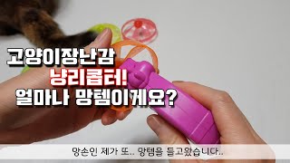 고양이장난감 냥리콥터 날려보셨쎄여?