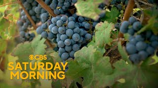 The dramatic shift in the world of wine
