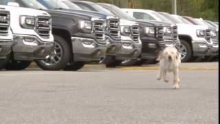 Car Dealer :15 Second Pre-Roll Social Ad - Car Buying Simplified