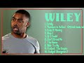 Wiley-Year's music sensation roundup-Leading Hits Mix-Mesmerizing