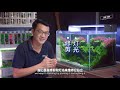 用15分钟清理造景缸ep28