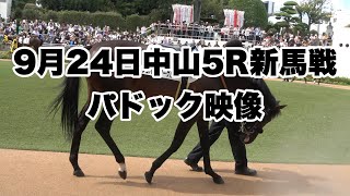 【4K動画】9月24日5R新馬戦パドック【中山競馬場】