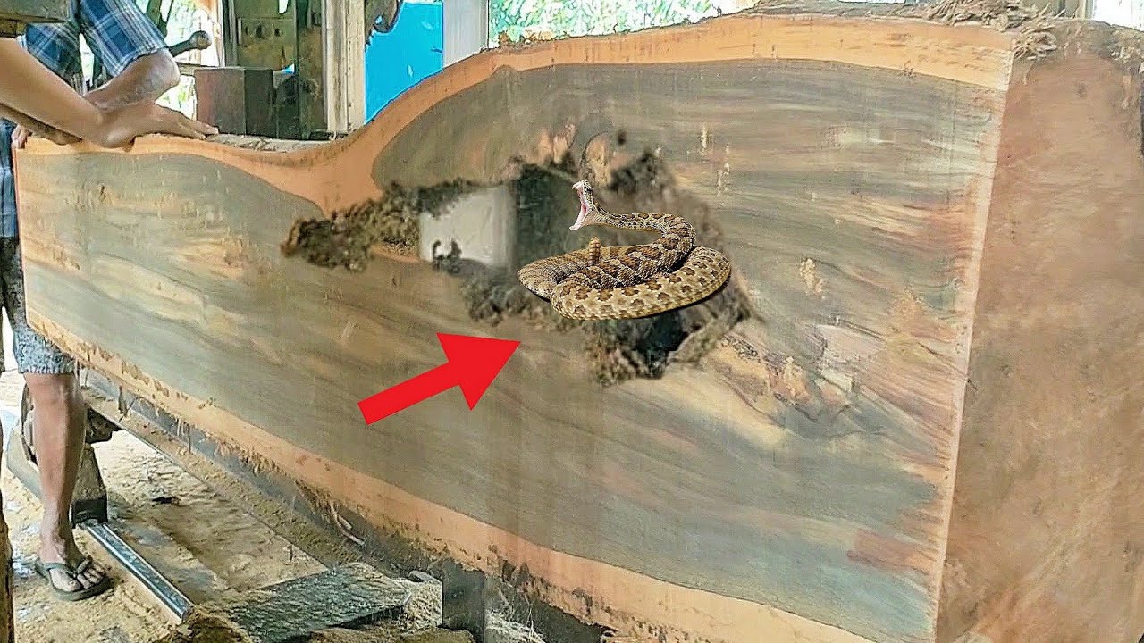 Surprising Discovery While Sawing A Teak Log Youtube