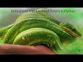 Error handling (try-except), logging, and debugging in Python