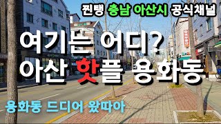 충남 아산의 핫플 용화동을 가다 (feat.공무원) [우리동네구석구석] 용화동