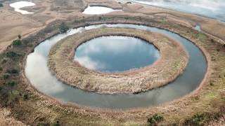 小櫃川河口干潟　浸透実験池