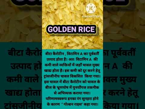 Golden rice | biotechnology and its applications.