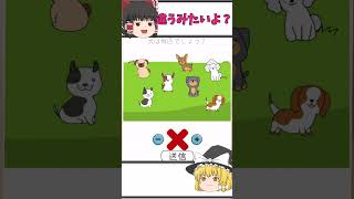 【霊夢と魔理沙のひっかけ脳トレ＃42】犬は何匹いるでしょうか？ #shorts  #脳トレゲーム  #ゆっくり実況