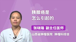 胰腺癌是怎么引起的 张晓瑞 山西省肿瘤医院