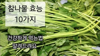 안구건조증예방에 좋은 참나물 효능 확인하고 드세요