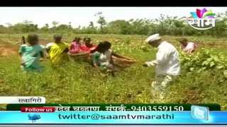 Ratnagiri farm labourers success story