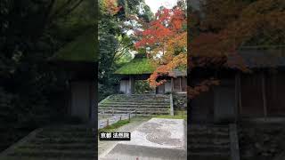 【紅葉】法然院【京都】