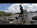 creek fishing in taiwan 碧潭壩工程完工後魚回來了嗎