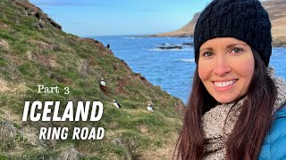 Puffins in ICELAND! Ring Road Part 3 | Hengifoss, Seydisfjordur, Hafnarholmi at Borgarfjordur Eystri