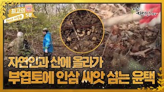 [최고의 5분_자연인] 산에 인삼을 심으면 산삼..? 부엽토 많은 땅에 인삼 씨앗을 심는 자연인