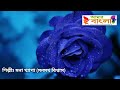 প্রেম আনন্দে ভাব সাগরে রওনা ডুবে মন mona khepa মনা খ্যাপা বাউল গান folk song