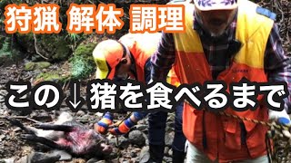 狩猟／猪を獲って解体／食べるまで