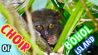 Choir Singers Of Bohol Bohol Hymn Philippines Ep 3 Chords Chordu