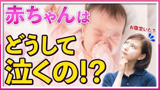 【赤ちゃんと話せる！？】泣いている赤ちゃんの気持ちとは！？No136