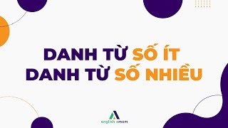 Ngữ pháp Tiếng Anh | Danh từ Số Ít và Danh từ Số Nhiều