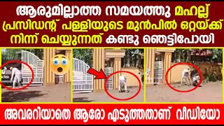 ആരുമില്ലാത്ത സമയത്തു മഹല്ല് പ്രസിഡന്റ് പള്ളിയുടെ മുൻപിൽ ഒറ്റക്ക്  നിന്ന് ചെയ്യുന്നത് കണ്ടു ഞെട്ടി