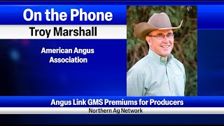 Angus Link GMS Premiums for Producers