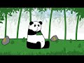 your life as a giant panda