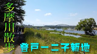 多摩川をひたすら散歩する