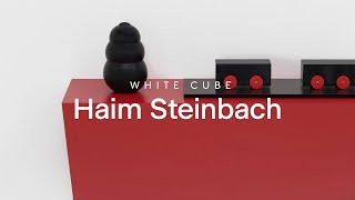 In Focus: Haim Steinbach | White Cube