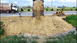 Wonderful New Project!DumpTruck Fill Land Delete Canal Sideroad,Bulldozer D21P KOMATSU Pushing Soil