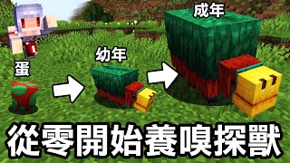 【從零開始養】最新的巨大生物嗅探獸！能帶著他挖掘古代植物種子？｜Minecraft 1.20 斂財生存 #23