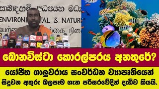 සුන්දර කොරල්පරය අනතුරක? අතුරු බලපෑමක් ගැන පරිසරවේදින් දැඩිව කියයි.