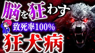 狂犬病の恐ろしさとは何か？発病したら100%死ぬ！脳を狂わす怖すぎる病#感染症シリーズ