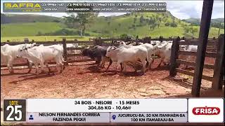 Lote 25 NELSON FERNANDES CORREIA