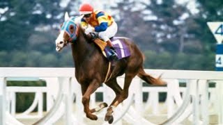 第４５回　桜花賞（ＧⅠ）　エルプス　牝３　55　木藤隆行　1985.4.7　出走馬：ロイヤルコスマー、ミスタテガミ、ユキノローズ、ニシノユニバック、ラッキーオカメ、イブキバレリーナ、タカラスチール他