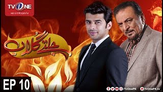 Jaltay Gulab | Episode 10 | TV One Classics | 19th November 2017