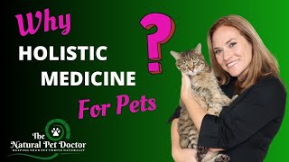 Why should you use holistic medicine for your dogs and cats with Dr. Katie - The Natural Pet Doctor