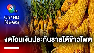 ก.เกษตรฯ แจง งดโอนเงินประกันรายได้ข้าวโพดเลี้ยงสัตว์งวดที่ 7