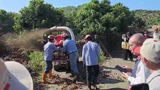 果樹修剪不再煩惱！高雄推機械團 輕鬆解決廢枝問題