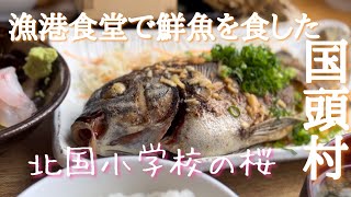 沖縄本島最北の地 国頭村へ。国頭港食堂/北国小学校