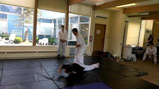 Grand Master Jung (in white) showing his incredible Hapkido skills